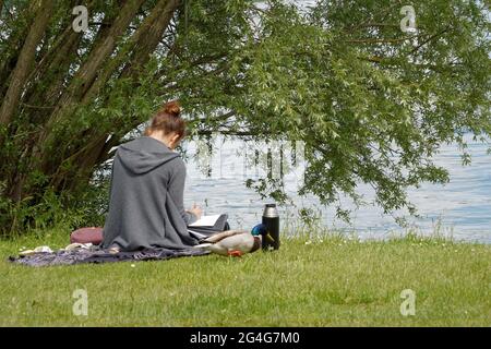 Junge Frau sitzt am Ufer des Bodensees in Kreuzlingen, Schweiz, unter einer Weide. Sie studiert. Eine Ente geht um sie herum Stockfoto