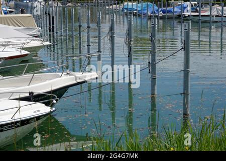 Yachten und Motorboote liegen in der Marine am Bodensee. Freizeitfahrzeuge mit Wasserfahrzeugen, die an Metallmasten befestigt sind. Die Anlegeplätze sind nummeriert. Stockfoto