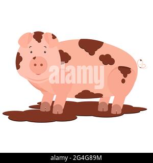 Süßes Schwein, schmutzig im Schlamm. Isoliert. Weißer Hintergrund. Stock Vektor
