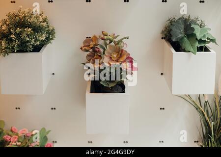 Blumenarrangements in weißen Pflanzgefäßen hängen am Messestand. Natur und Pflanzen. Zuhause und Komfort. Design und Dekoration. Stockfoto