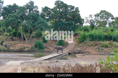 Südafrika Stockfoto