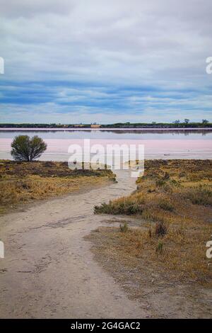 Der Blick auf den bemerkenswerten Pink Lake in Australien. Pink Lake ist ein kleiner, kreisförmiger, salziger, rosa See am Western Highway nördlich von Dimboola in Australien Stockfoto