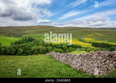 Blick vom Oxnop Hill Aufstieg aus Swaledale, Blick vom Satron Moor mit mit mit Butterblumen gefüllten Feldern, Yorkshire Dales National Park, britische Landschaft Stockfoto