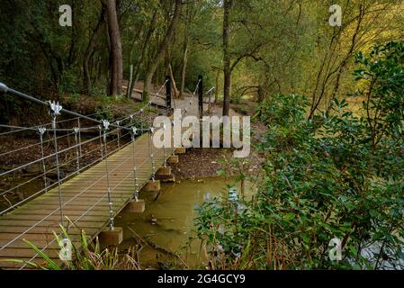 Fußgängerbrücke im Can Borrell-Stausee, im Collserola-Gebirge (Barcelona, Katalonien, Spanien) ESP: Pasarela en el pantano de Can Borrell Stockfoto