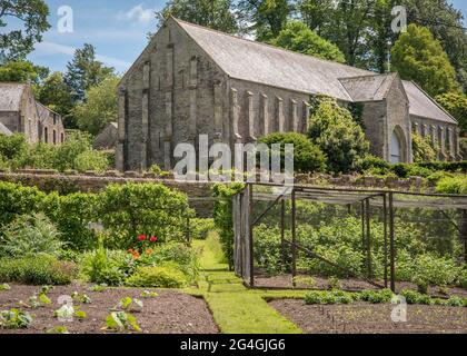 Blick auf die Great Barn in der Buckland Abbey in Devon, Südwestengland. Blick auf die Zehenscheune von den Gärten auf dem Gelände im Juni 2021 Stockfoto