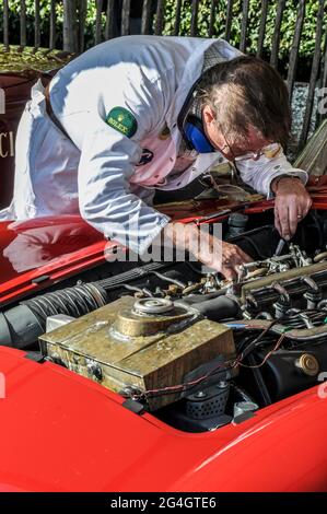 Mechaniker, der beim Goodwood Revival Vintage Event in West Sussex, Großbritannien, am Motor eines Oldtimers arbeitet. Männlich mit öligen Händen, die Werkzeuge im Motorraum verwenden Stockfoto