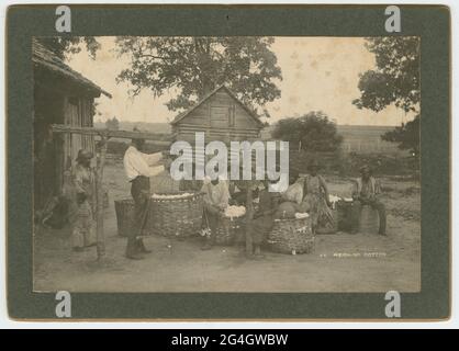 Ein Albumendruck auf der Schrankkarte, auf dem eine Gruppe von Männern und Frauen mit Baumwollgewicht abgebildet ist. Das Foto zeigt einen großen bärtigen weißen Mann, der einen Strohhut, ein helles Hemd und eine dunkle Hose mit einem großen Korb aus Baumwolle trägt. Die Waage ist ein T-förmiger Holzständer mit einem gewichteten Beutel an einem Ende der oberen Stange und dem Baumwollkorb am anderen. Eine Gruppe von neun (9) Afroamerikanern sitzt rechts auf Körben aus Baumwolle. Jeder trägt einen Hut. Ein kurzer Mann steht links neben einem offenen Schuppen. Im Hintergrund befindet sich ein kleines Holzgebäude, Bäume und ein Feld. Das Foto ist verblasst Stockfoto