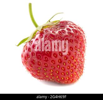 Frische Erdbeeren isoliert auf weißem Hintergrund. Reife rote Erdbeeren, leckere Beeren. Volle Schärfentiefe Stockfoto