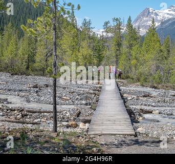 Wanderer überqueren einen Bach im Yoho National Park Stockfoto