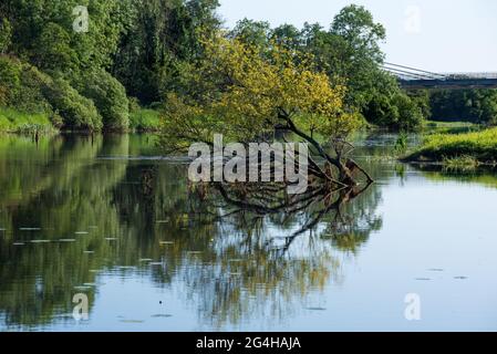 Blick auf den Fluss Erne in Co. Cavan, Irland im Sommer Stockfoto