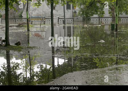 Öffentlicher Park, der von Regen durchnässt ist. Wasser protokolliert Park.Wet Bänke. Park gefüllt mit Wasser nach Regen.leeren Park nach starkem Regen. Stockfoto