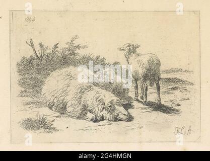 Schafe und zwei Lämmer. Eine Landschaft Schafe in der Gesellschaft von zwei Lämmern. Ein Lamm steht dem Schaf gegenüber, der zweite Zustand, von hinten gesehen. Stockfoto