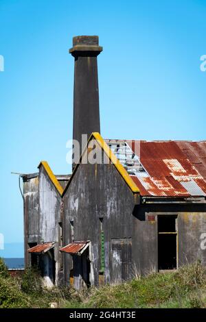 Verlassene Milchfabrik in der Nähe von Stratford, Taranaki, Nordinsel, Neuseeland Stockfoto