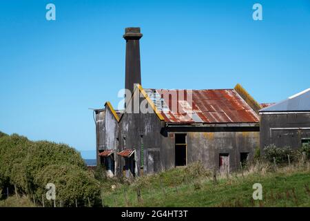 Verlassene Milchfabrik in der Nähe von Stratford, Taranaki, Nordinsel, Neuseeland Stockfoto