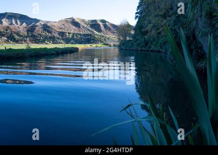 Awakino River, Waikato, North Island, Neuseeland Stockfoto