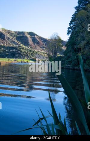 Awakino River, Waikato, North Island, Neuseeland Stockfoto