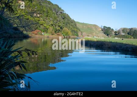 Awakino River, Waikato, North Island, Neuseeland Stockfoto