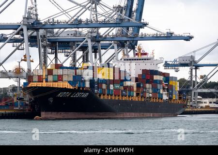 Containerschiffe und Krane im Hafen von Auckland, Nordinsel, Neuseeland Stockfoto