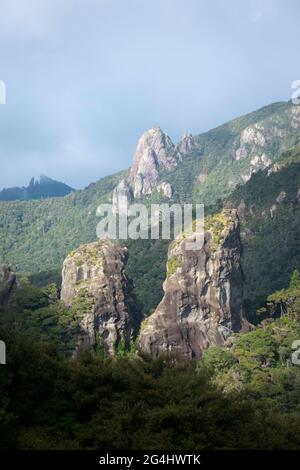 Felssäulen in der Nähe des Windy Canyon, der Great Barrier Island, des Hauraki Gulf, Neuseeland Stockfoto