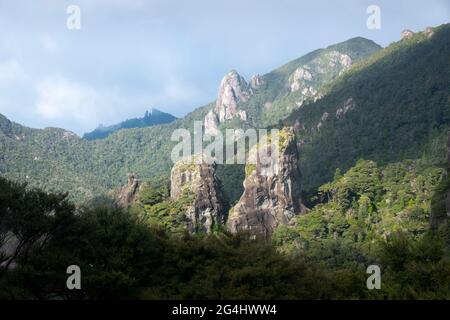 Felssäulen in der Nähe des Windy Canyon, der Great Barrier Island, des Hauraki Gulf, Neuseeland Stockfoto