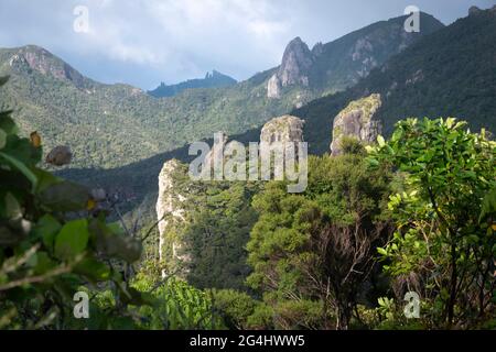 Felssäulen in der Nähe des Windy Canyon, der Great Barrier Island, des Hauraki Gulf, Neuseeland Stockfoto