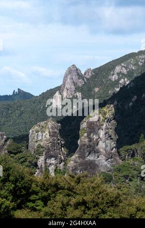 Felssäulen in der Nähe des Windy Canyon, der Great Barrier Island, des Hauraki Gulf, Neuseeland Stockfoto