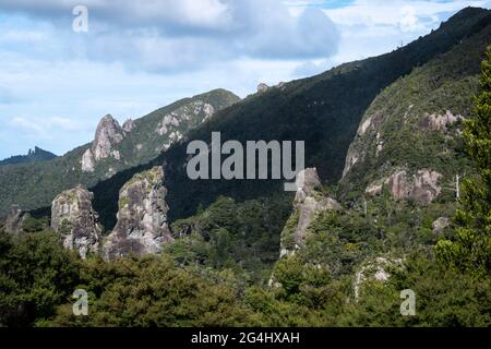 Felssäulen in der Nähe des Windy Canyon, der Great Barrier Island, des Hauraki Gulf, Neuseeland Stockfoto