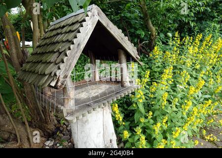 Vogelfutterhaus mit Katzenschutz und punktierter Gilbweiderich (Lysimachia punctata), Weilerswist, Nordrhein-Westfalen, Deutschland Stockfoto