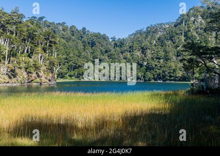 Lago Verde See im Nationalpark Huerquehue, Chile Stockfoto