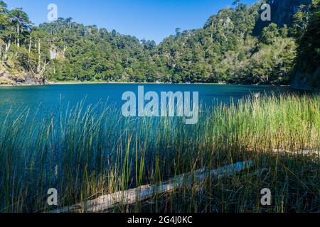 Lago Verde See im Nationalpark Huerquehue, Chile Stockfoto