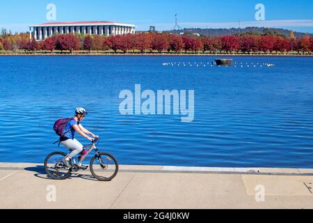 Radfahren am Ufer des Lake Burley Griffin Stockfoto