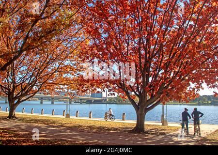 Radfahren am Ufer des Lake Burley Griffin Stockfoto