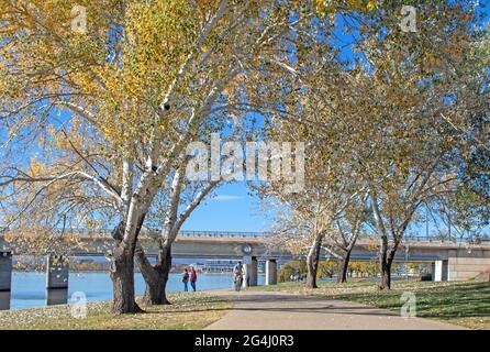 Radfahren am Ufer des Lake Burley Griffin Stockfoto