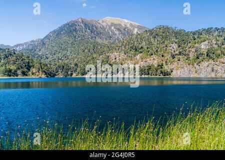 Laguna Toro See im Nationalpark Huerquehue, Chile Stockfoto