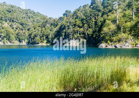 Laguna Toro See im Nationalpark Huerquehue, Chile Stockfoto