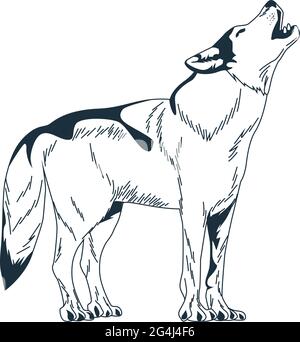 Wildwolf Tier Stock Vektor
