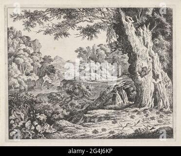 . Blick auf eine Landschaft mit Fluss. Im Vordergrund ist eine große Seite am Stamm eines Baumes, links davon ein Stumpf eines gefallenen Baumes. Unzählige Ameisen laufen über den Boden. Stockfoto