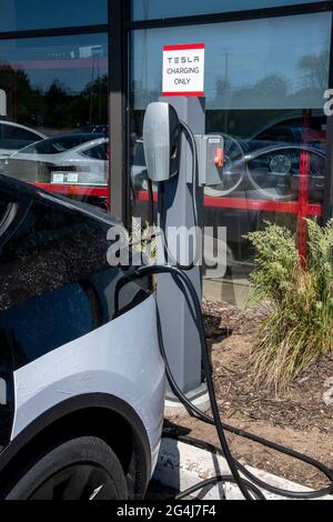 Maplewood, Minnesota. Tesla Autohaus. Auto an Ladestationen. Tesla, Inc. Ist ein amerikanisches Unternehmen für Elektrofahrzeuge und saubere Energie. Stockfoto