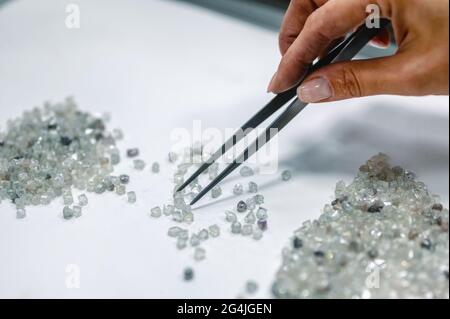 Manuelle Sortierung von Diamanten. Eine Hand mit Pinzette überträgt Diamanten von einem Stapel auf einen anderen. Stockfoto