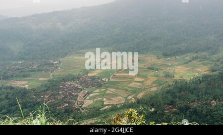 Eine Landschaft eines Reisfeldes auf einer Terrasse in einem Dorf, das vom Berggipfel von Kendil in Semarang, Indonesien, aus gesehen wird Stockfoto