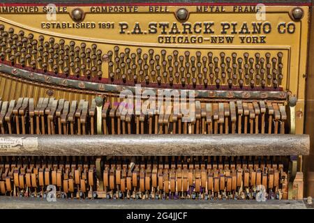 Die baufälligen Hämmer eines alten P. A. Starck-Klaviers. Stockfoto