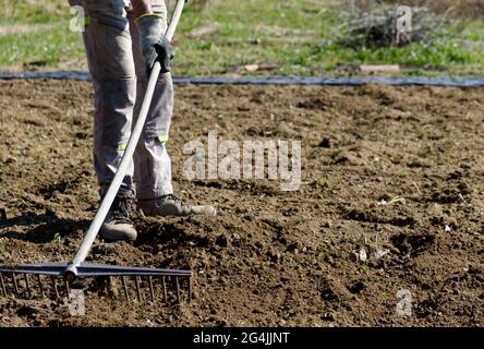 Der Bauer bereitet mit einem Rechen den Boden für den Sommergarten vor Stockfoto