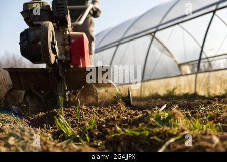Der Bauer bereitet mit einem Cutter den Boden für den Sommergarten vor Stockfoto