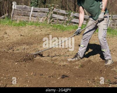 Der Bauer bereitet mit einem Rechen den Boden für den Sommergarten vor Stockfoto