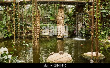 Tropische Landschaft mit hängenden Reben und Wasserfall im Park. Stockfoto