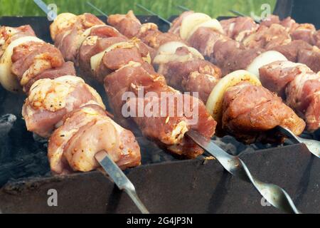 Marinierte schaschlik Vorbereitung auf einem Grill über Kohle. Schaschlik oder Shish Kebab populär in Osteuropa. (Shashlyk aufgespießt Fleisch) war Ursprung Stockfoto
