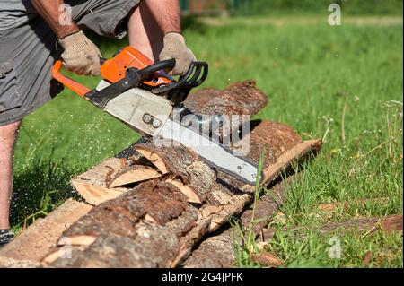 Sägen von Holz mit einer Kettensäge an einem sonnigen Sommertag Stockfoto