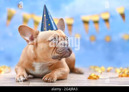 Red Fawn French Bulldog mit Geburtstagsteil Hut vor verschwommenem blauen Hintergrund mit Girlanden und Party-Streamer Stockfoto