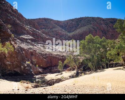 Sandiger Bachbett, gesäumt von River Red Gums (Eucalyptus camaldulensis), Ormiston Gorge, Tjoritja / West MacDonnell National Park, Northern Territory Stockfoto