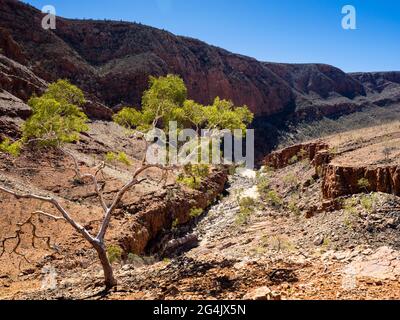 Ormiston Gorge vom Ghost Gum Lookout, Tjoritja / West MacDonnell National Park, Northern Territory Stockfoto